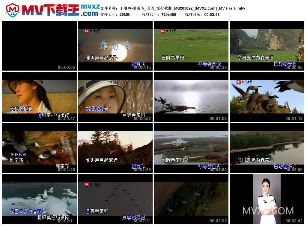 王琳玲-雁南飞_国语_流行歌曲_MB205822